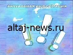 В ВТБ объяснили, каким образом использование биометрических технологий поможет защититься от мошеннических действий.