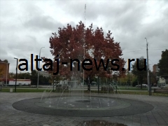 Становится известна информация о метеорологических условиях в Адыгее на 21 февраля.